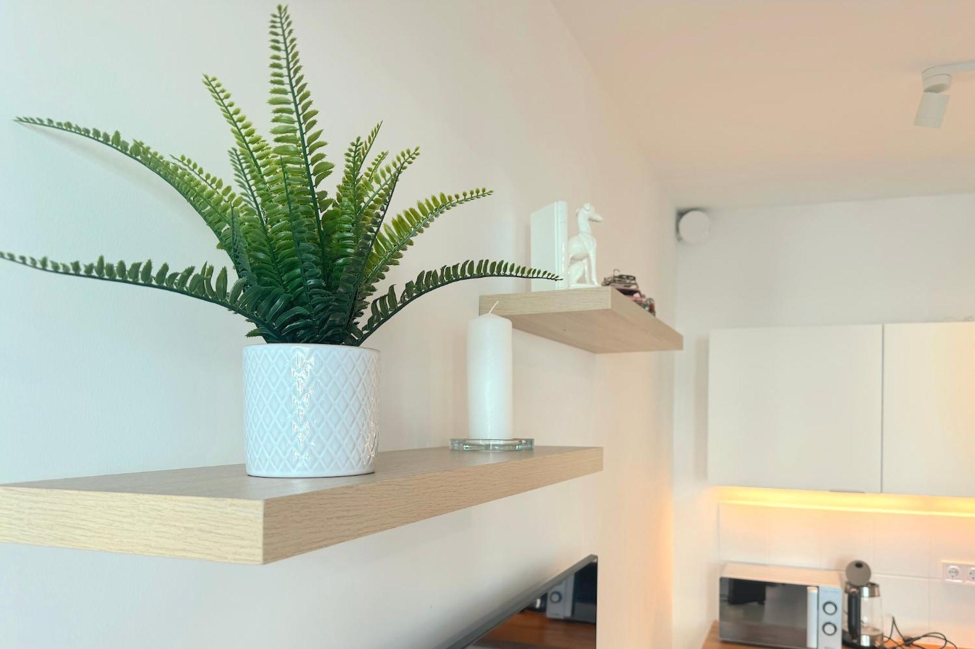 Appartement Spirit Mester Gardens